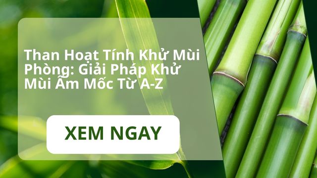 Than Hoạt Tính Khử Mùi Phòng: Giải Pháp Khử Mùi Ẩm Mốc