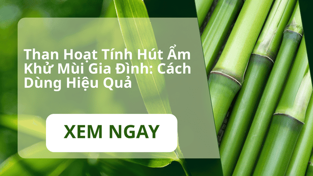 túi than hoạt tính hút ẩm khử mùi gia đình cách dùng hiệu quả tốt